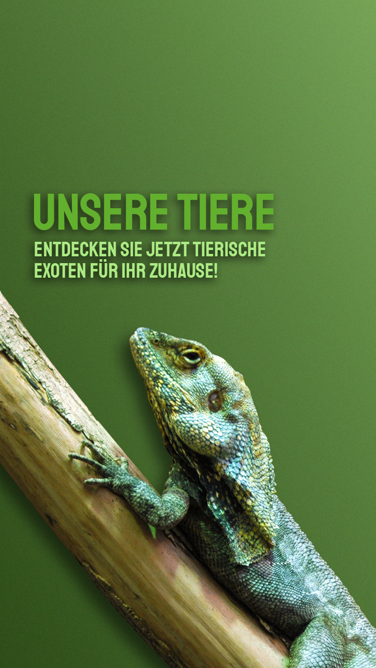 Tiere