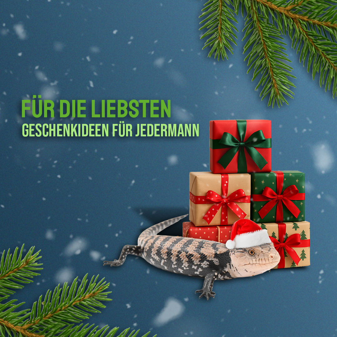 Geschenkideen