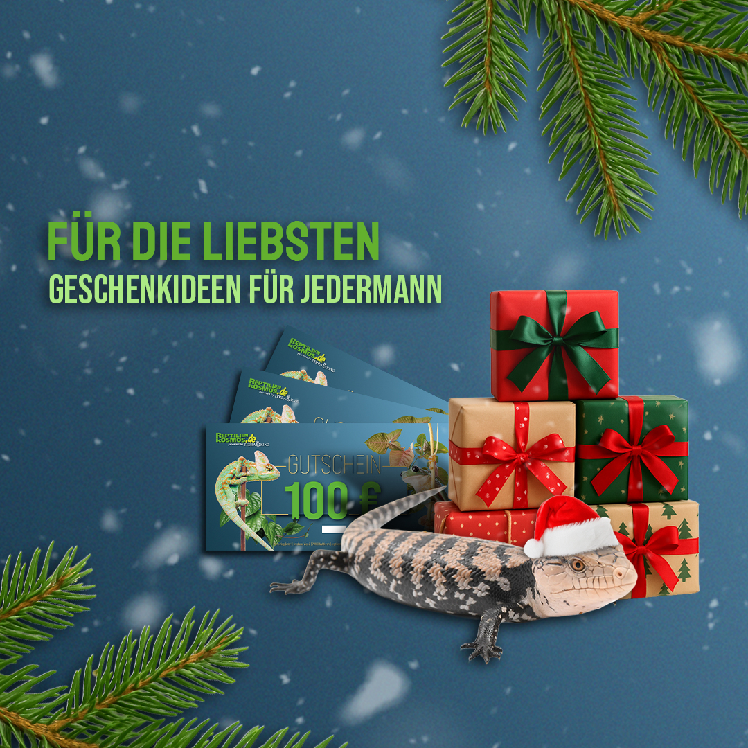 Geschenkideen