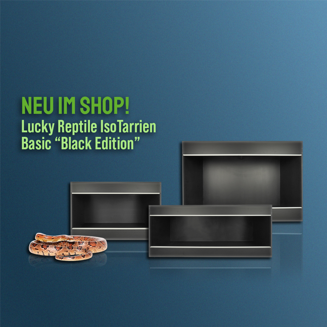     Lucky Reptile Iso Tarrium Basic "Black Edition"