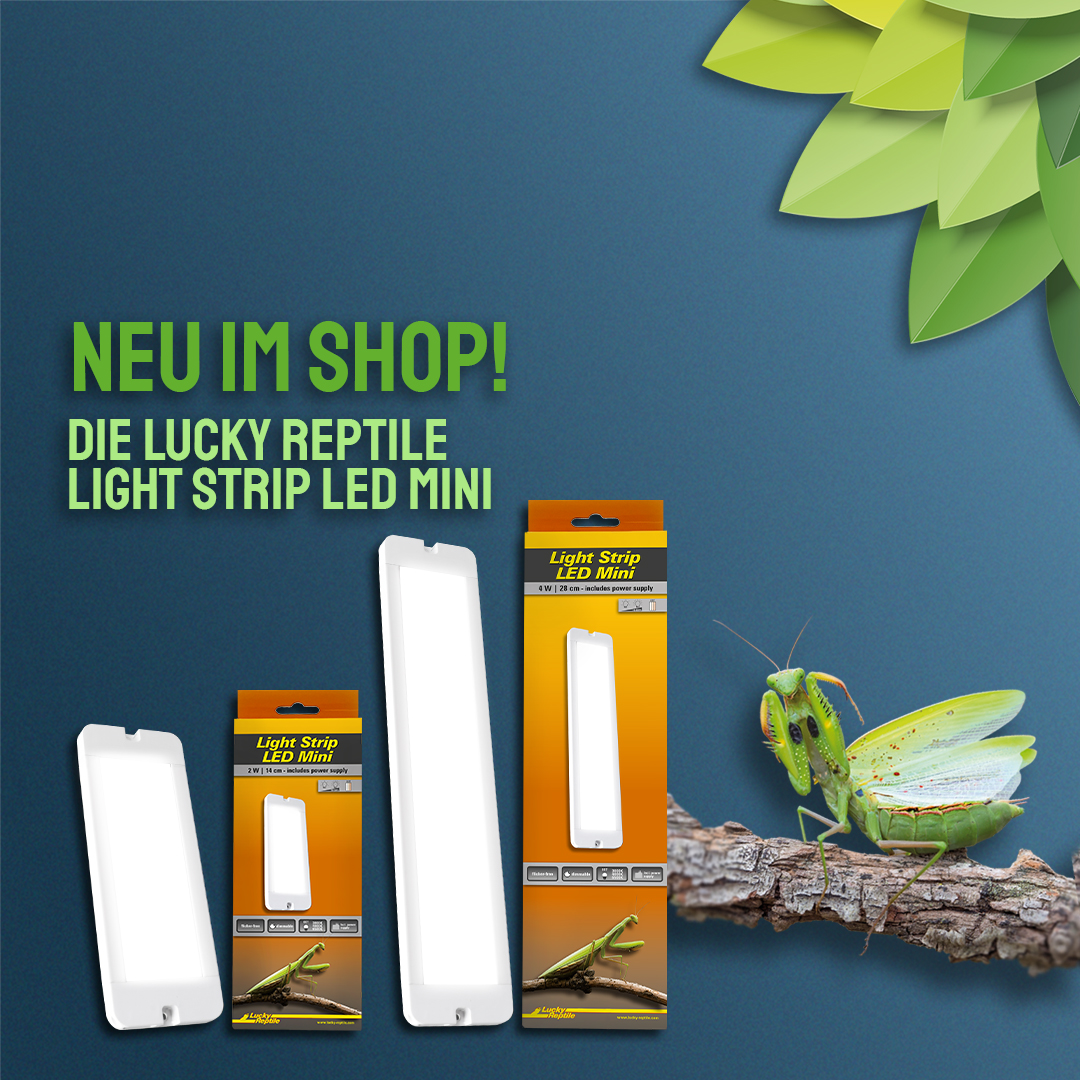     Lucky Reptile Light Strip LED Mini