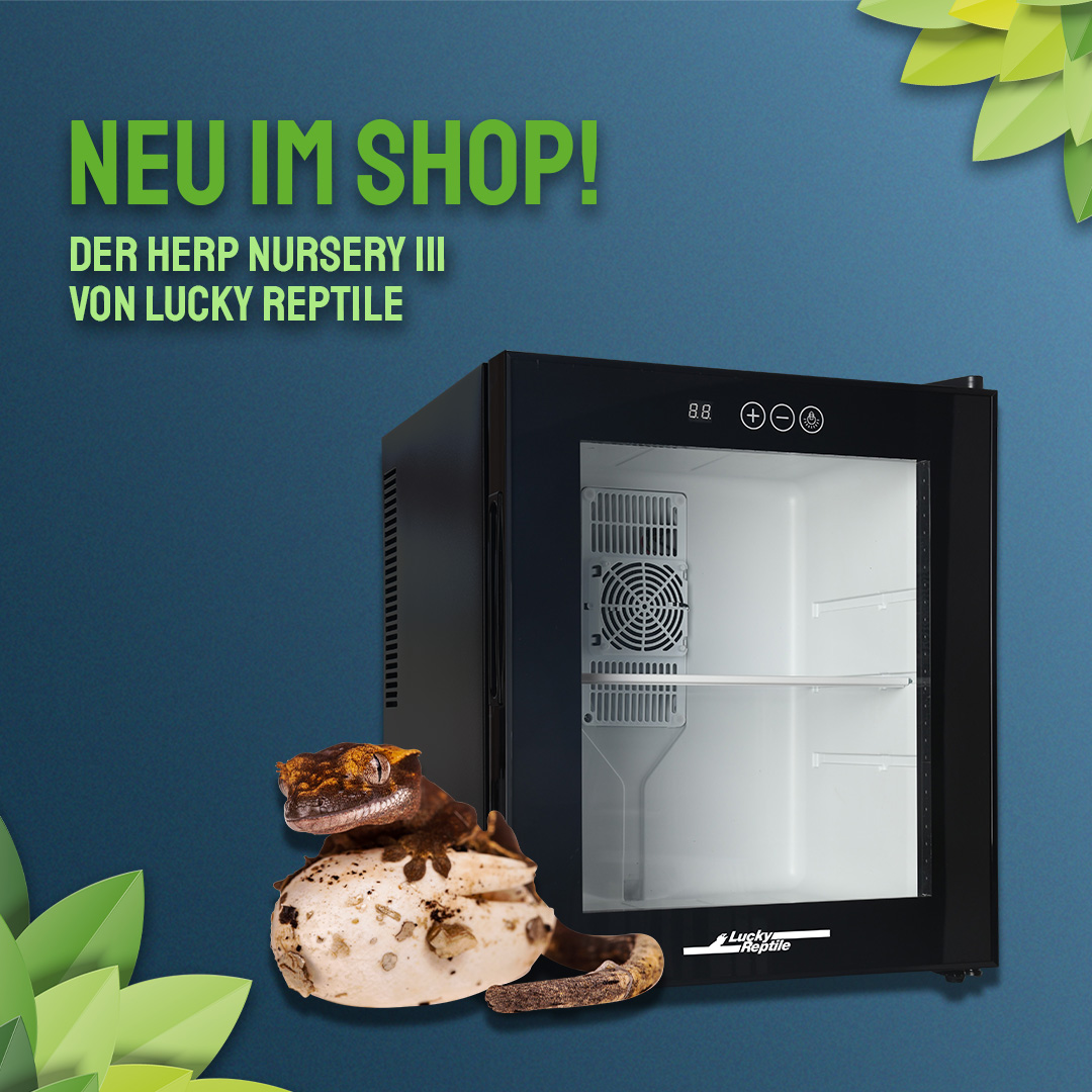     Lucky Reptile Herp Nursery III - Inkubator für Reptilieneier