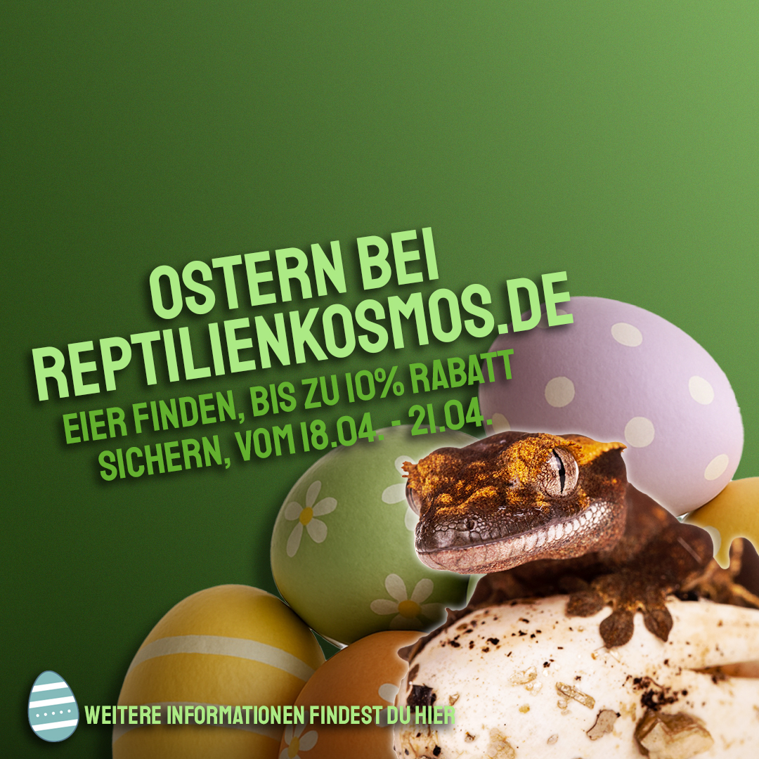 Eiersuche im Reptilienkosmos-Shop!