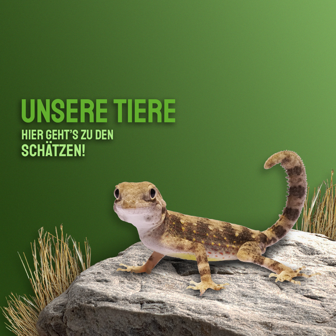 Tiere