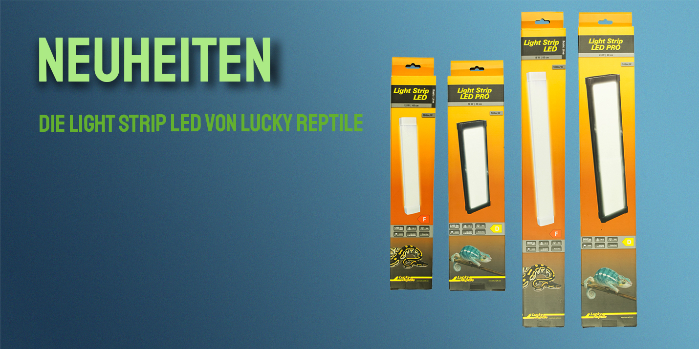     Lucky Reptile Light Strip LED
