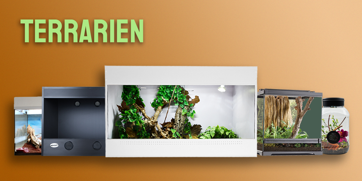 Terrarien