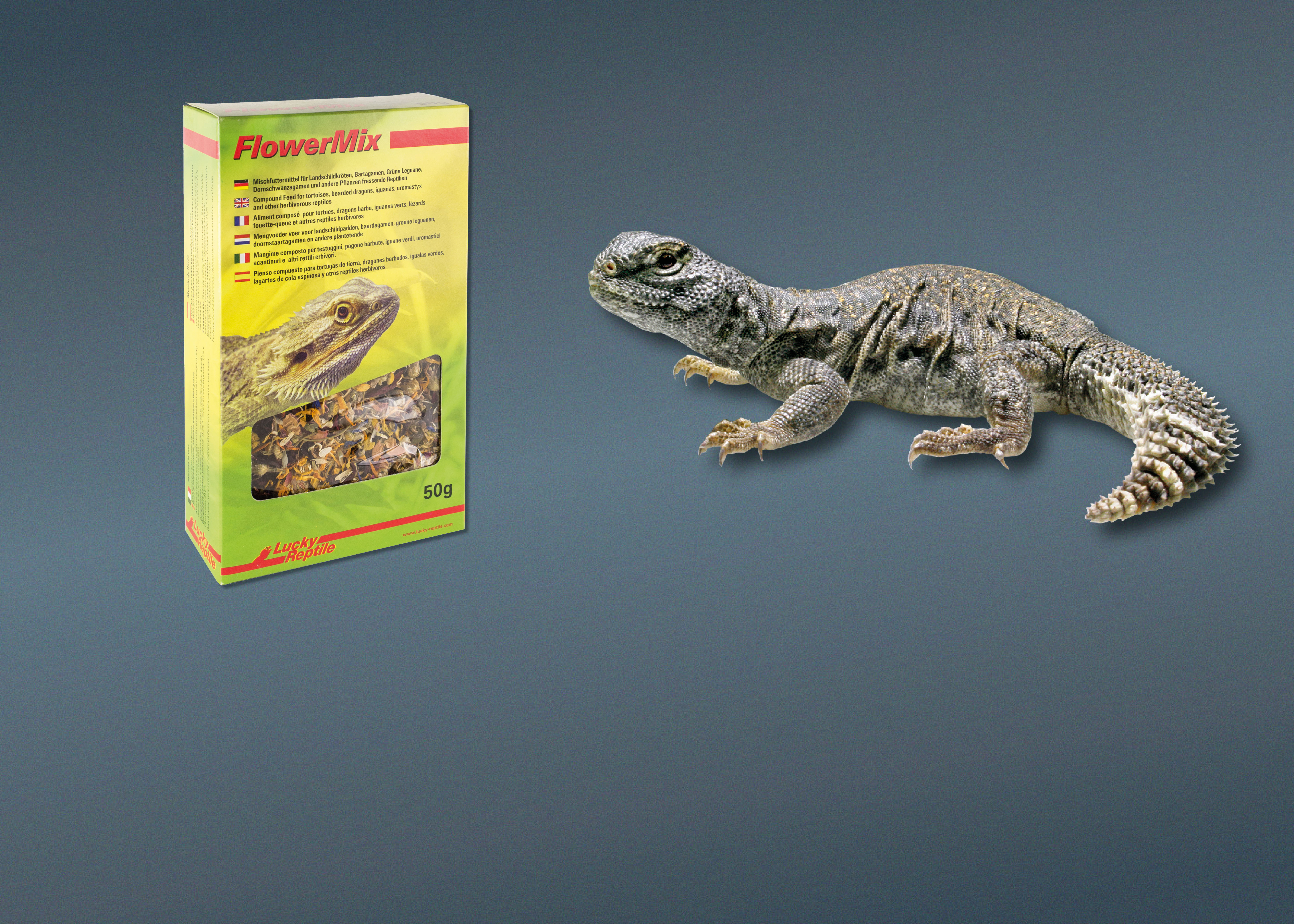 Futter für Pflanzenfresser