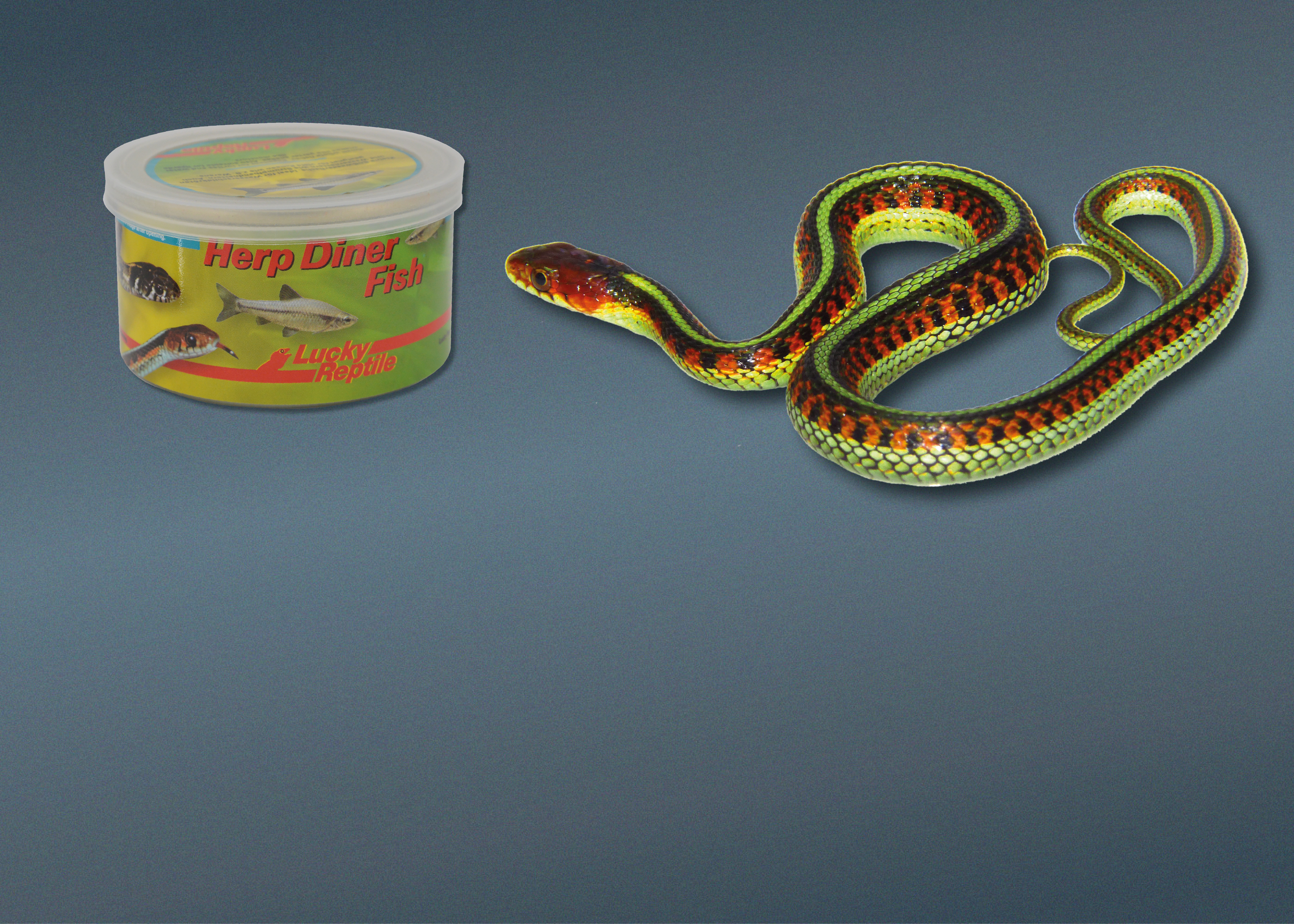 Futter für Schlangen