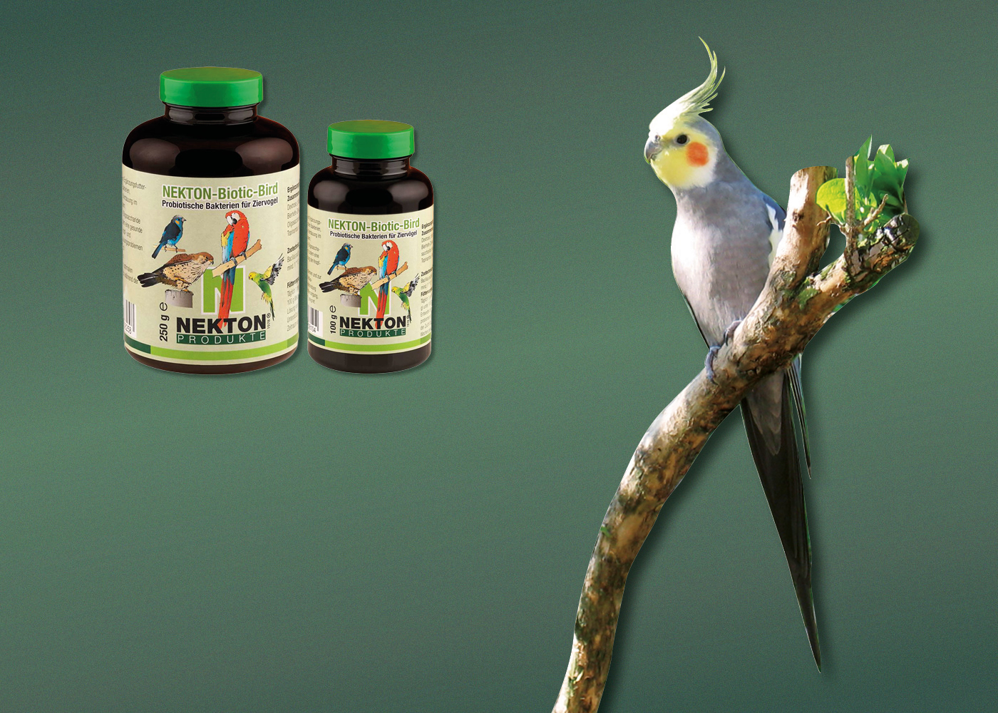 Futter für Vögel