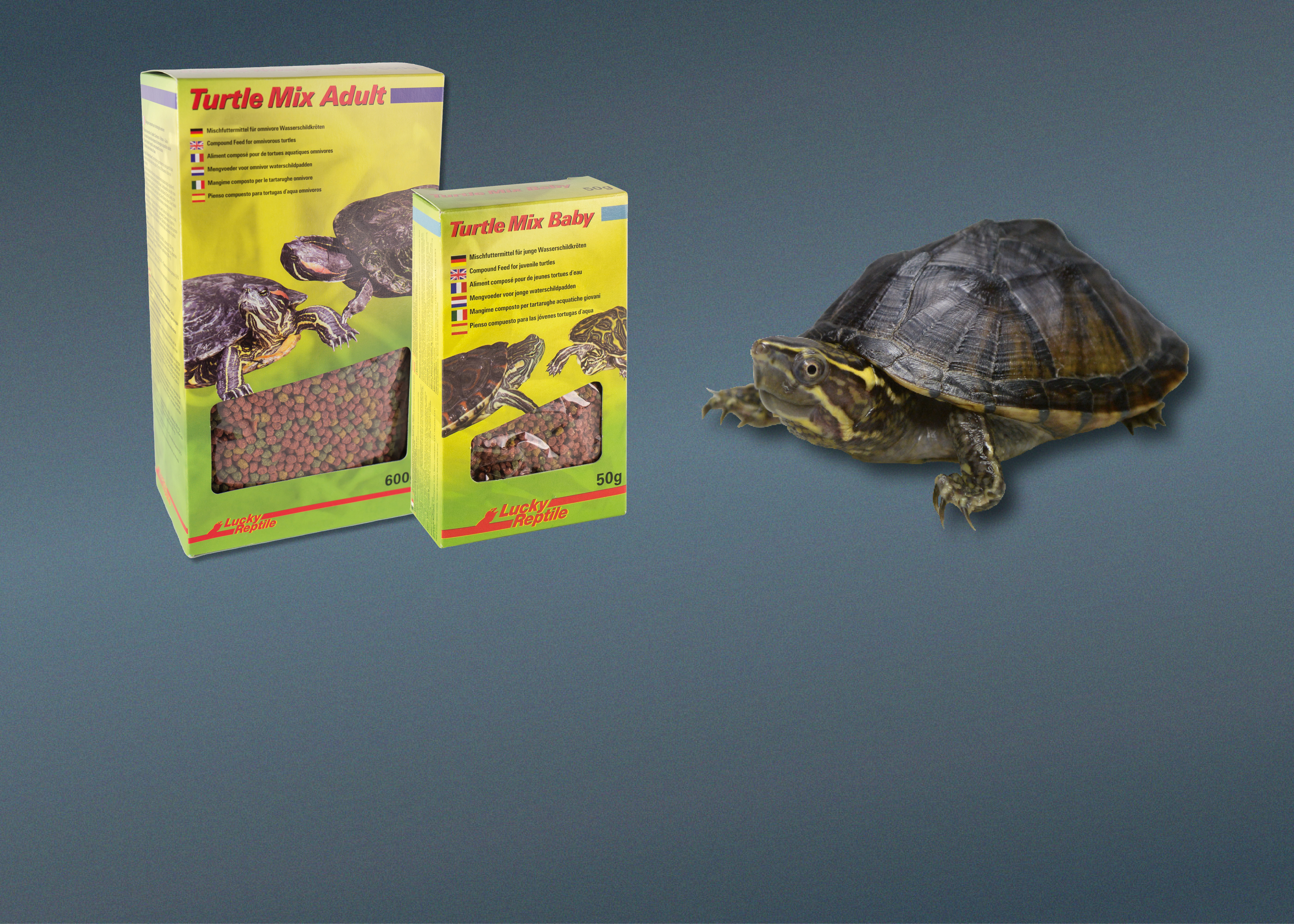 Futter Für Wasserschildkröten