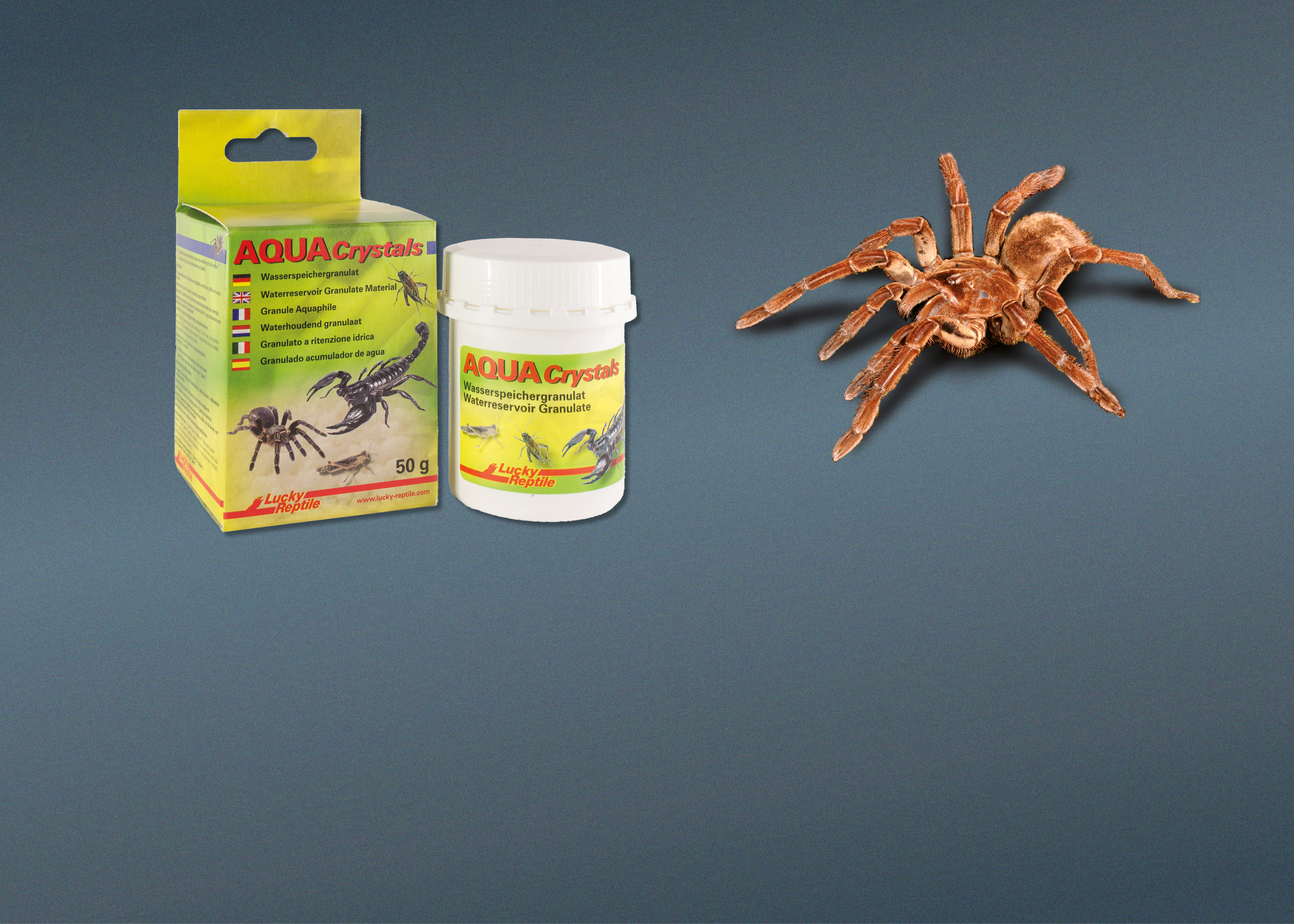 Futter für Wirbellose