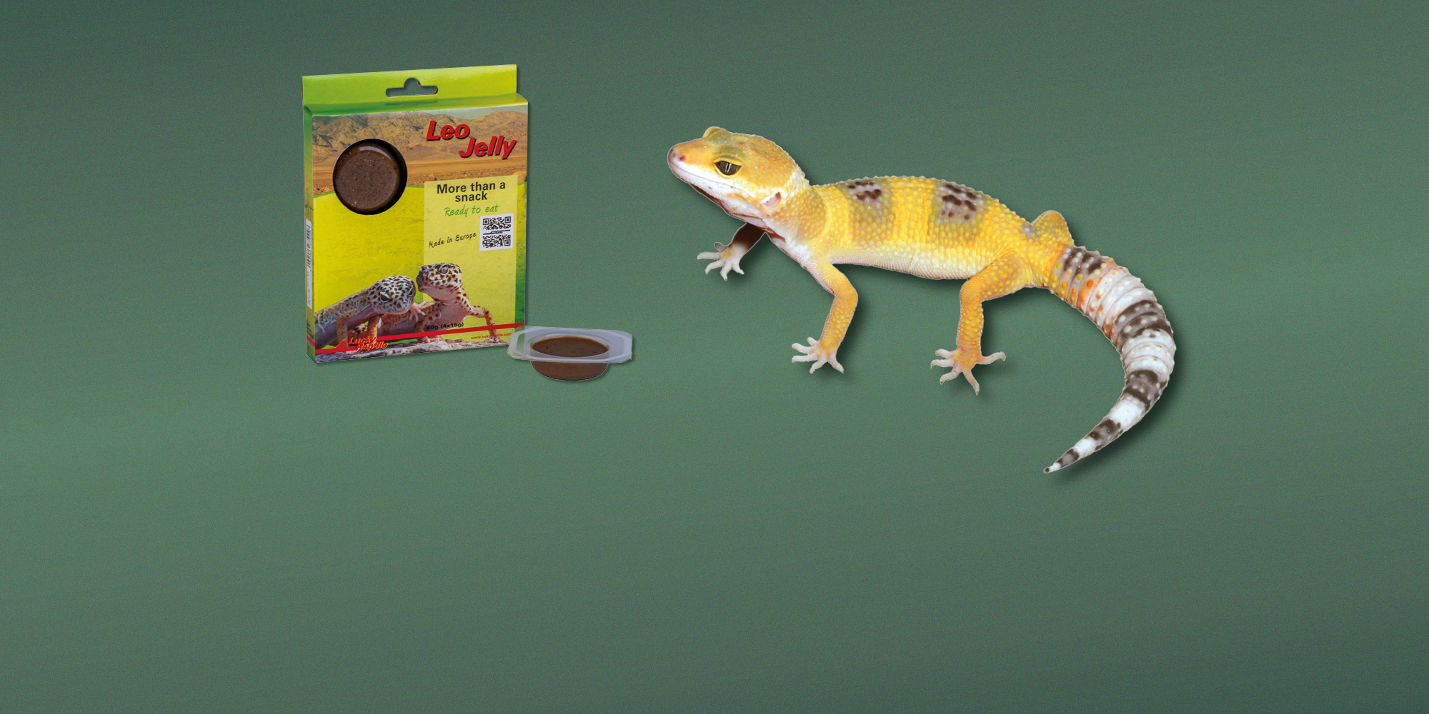 Futter für Leopardgeckos