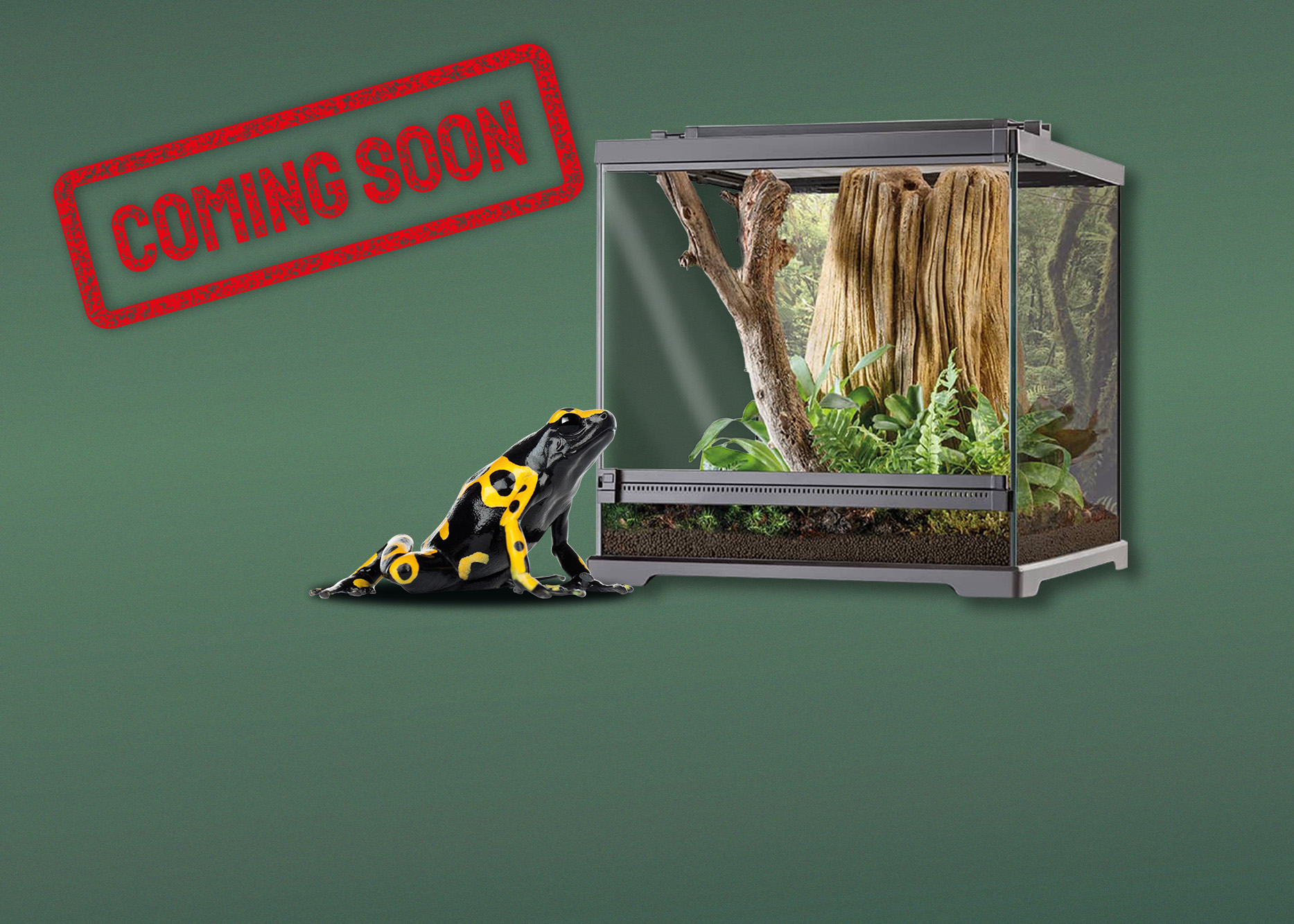Terrarien für Pfeilgiftfrösche
