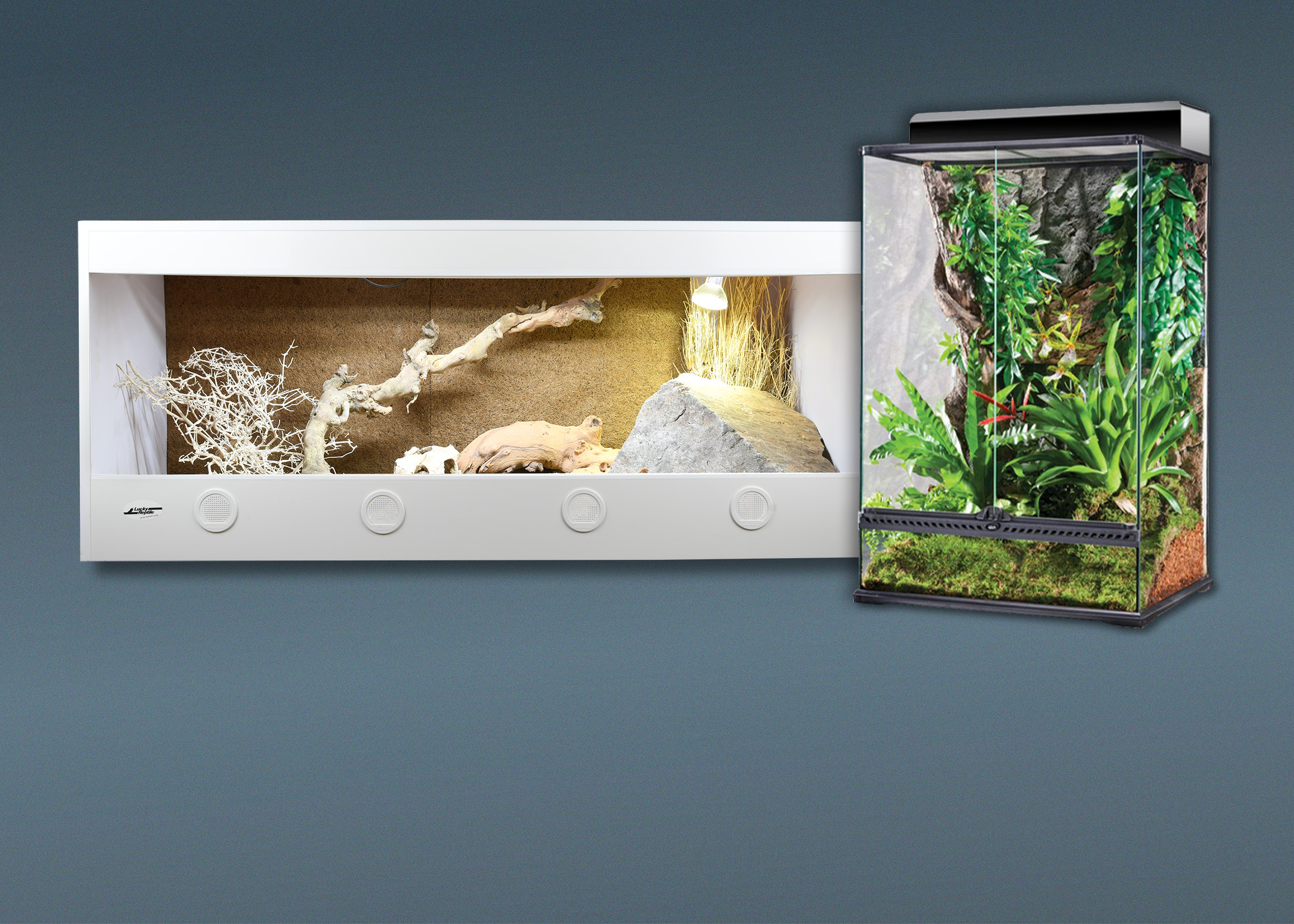Standard-Terrarien