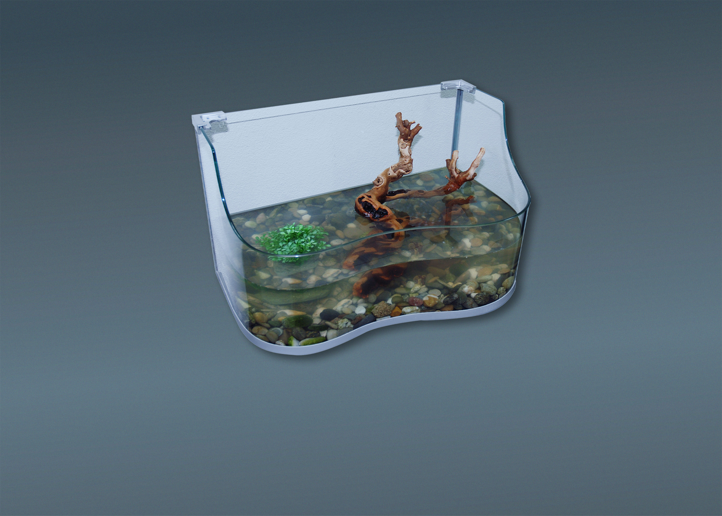 Aquarien
