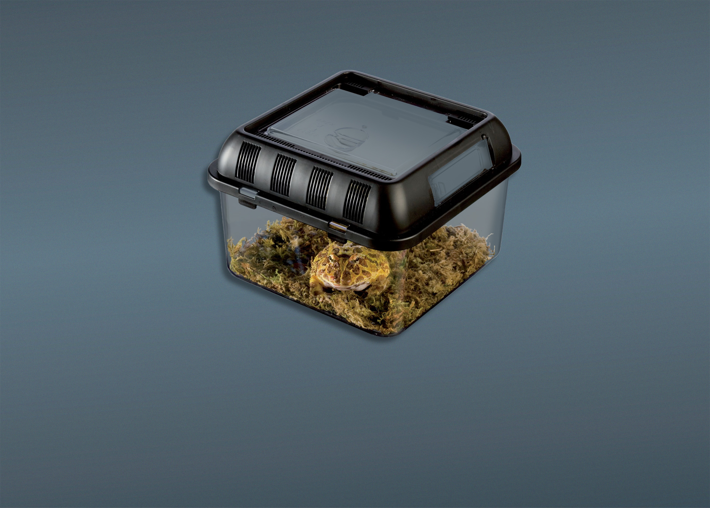 Transportboxen