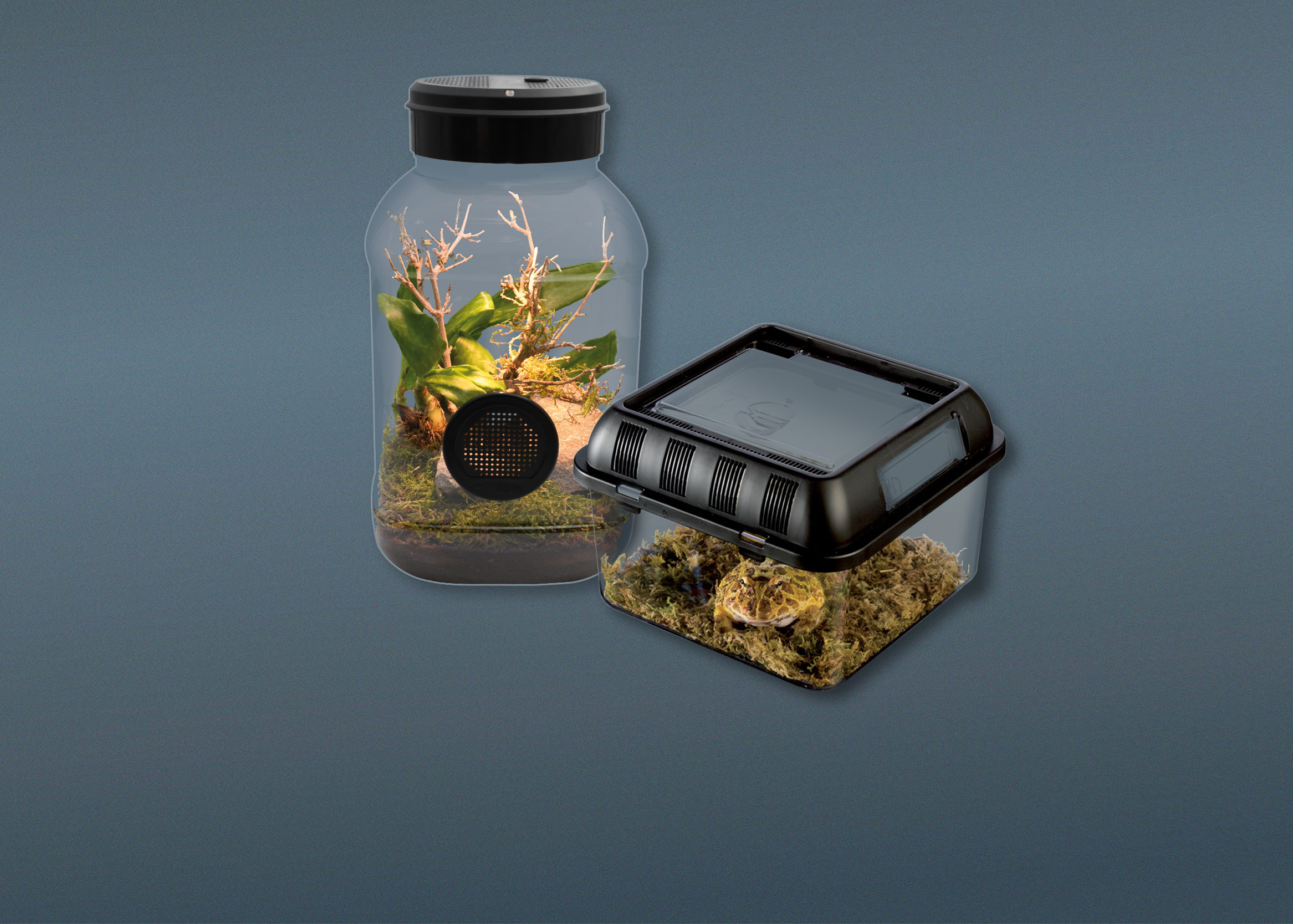 sonstige Terrarien