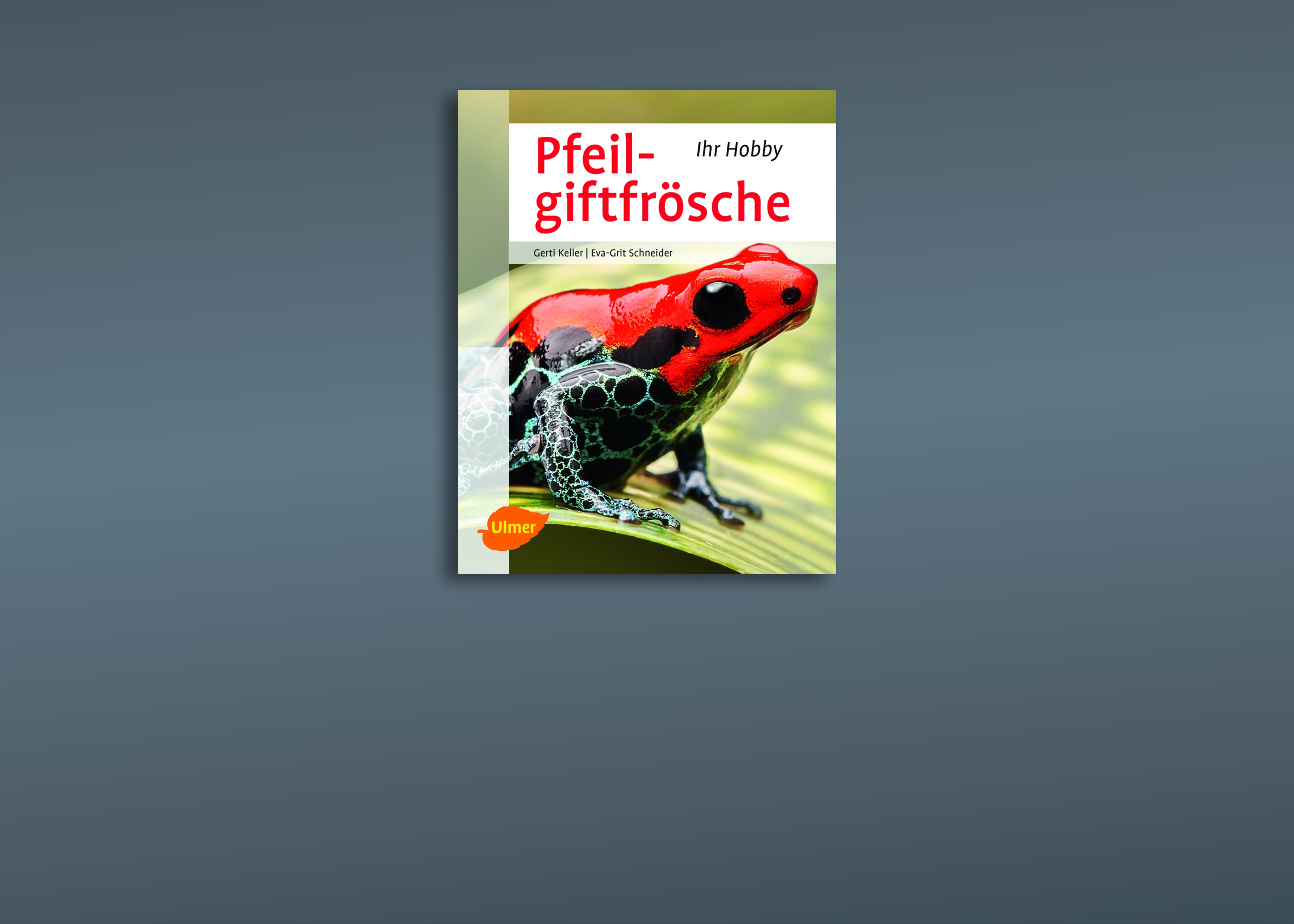 Frösche