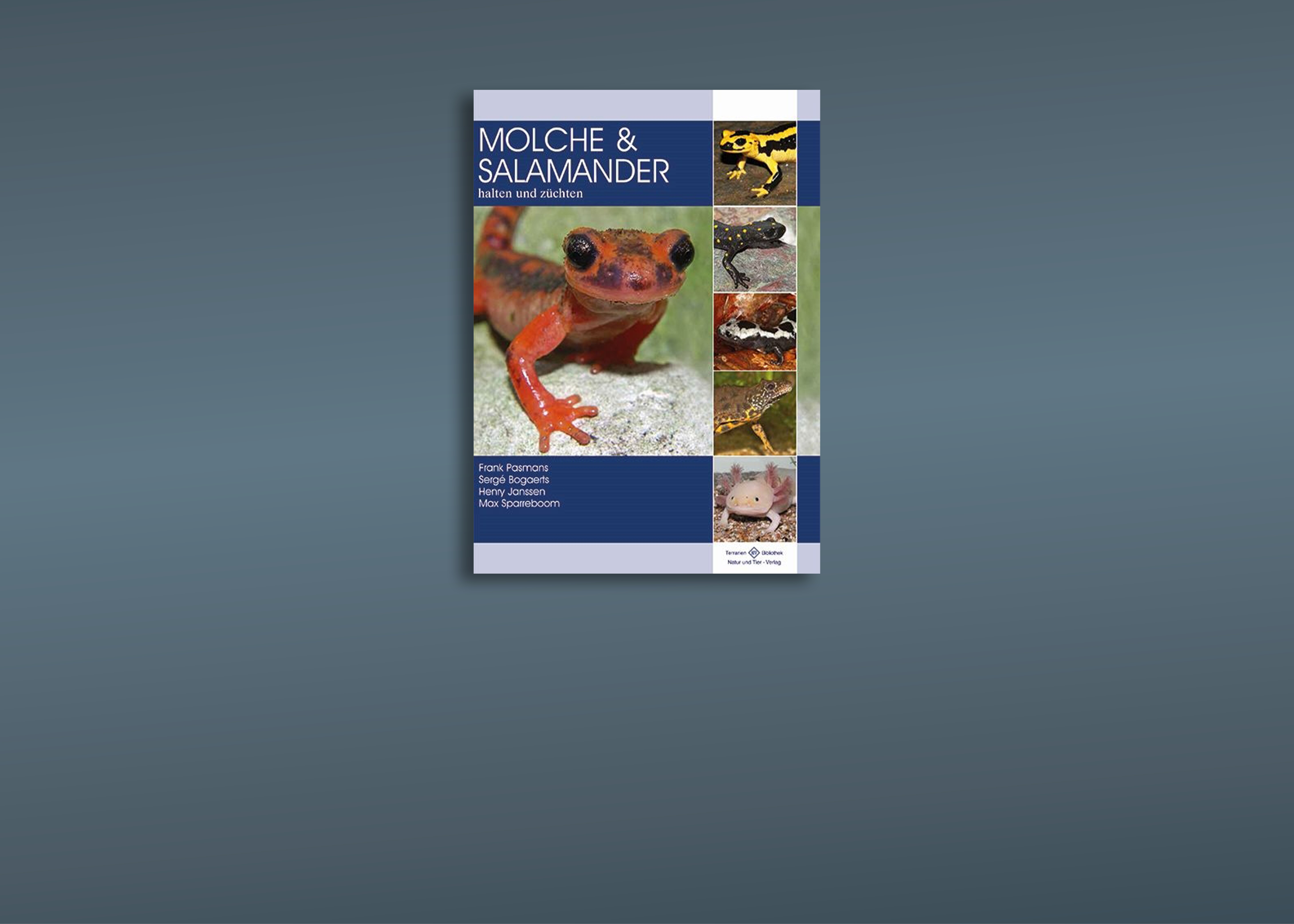 Salamander & Molche