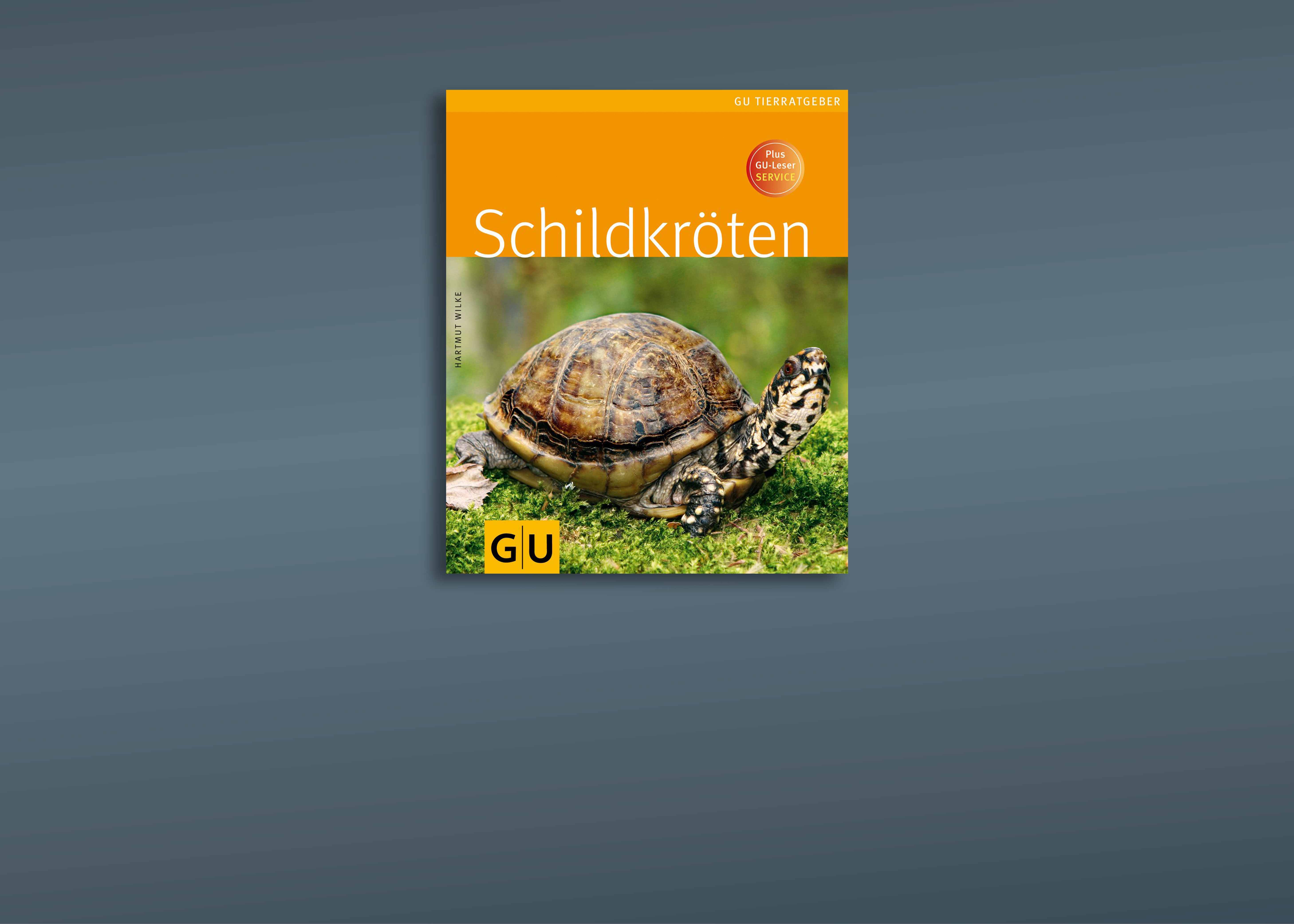 Schildkröten