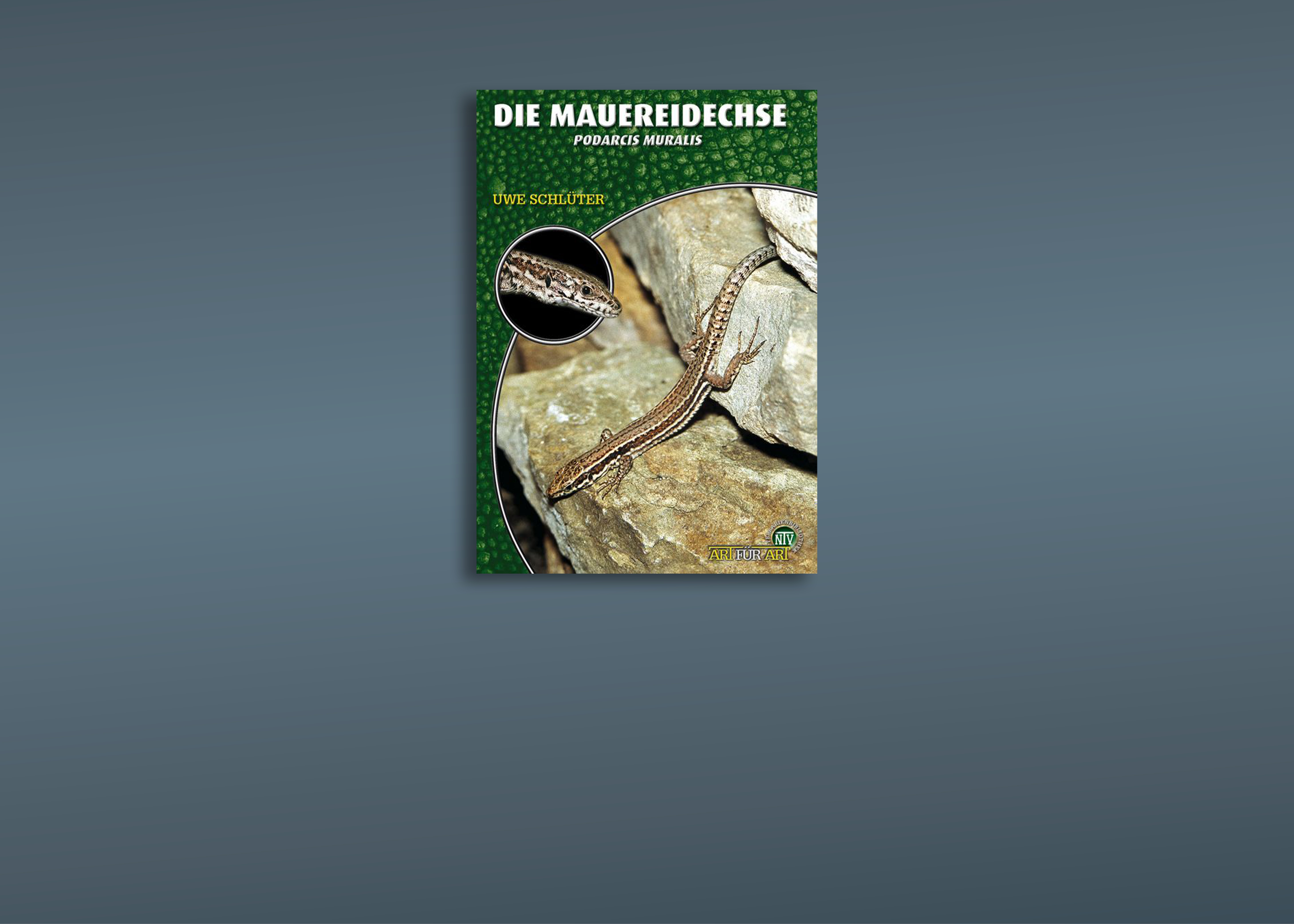 Eidechsen