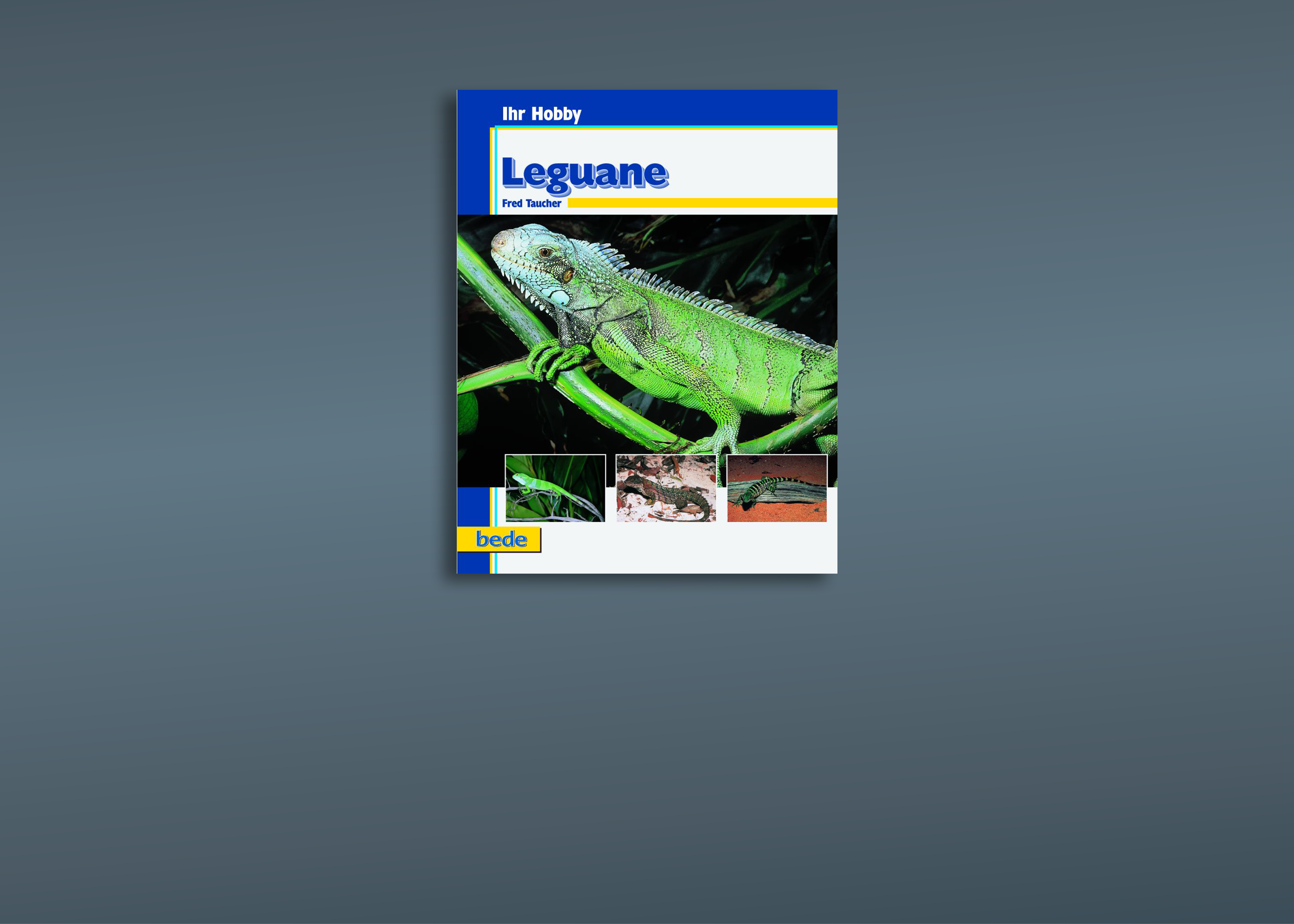 Leguane