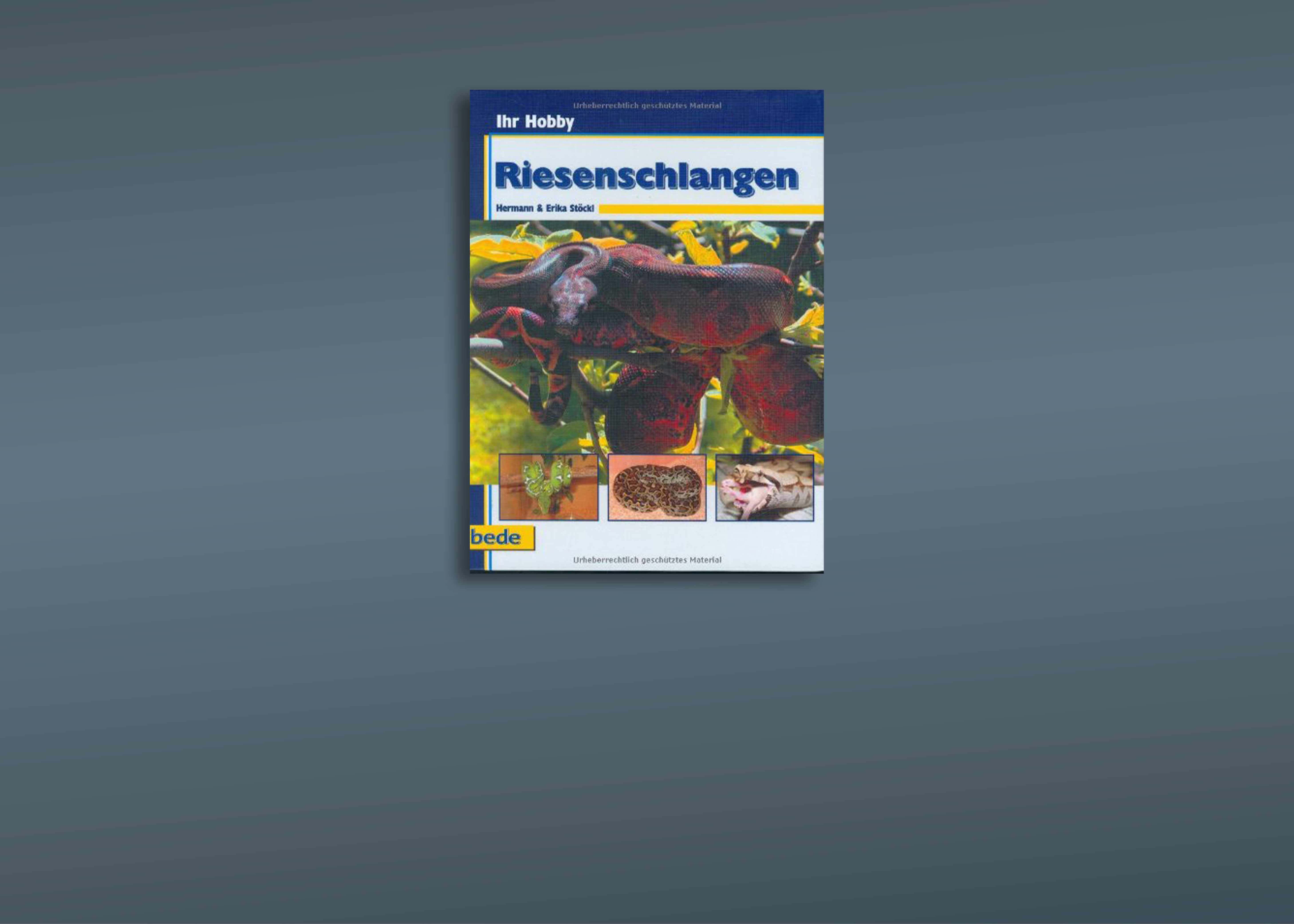 Riesenschlangen