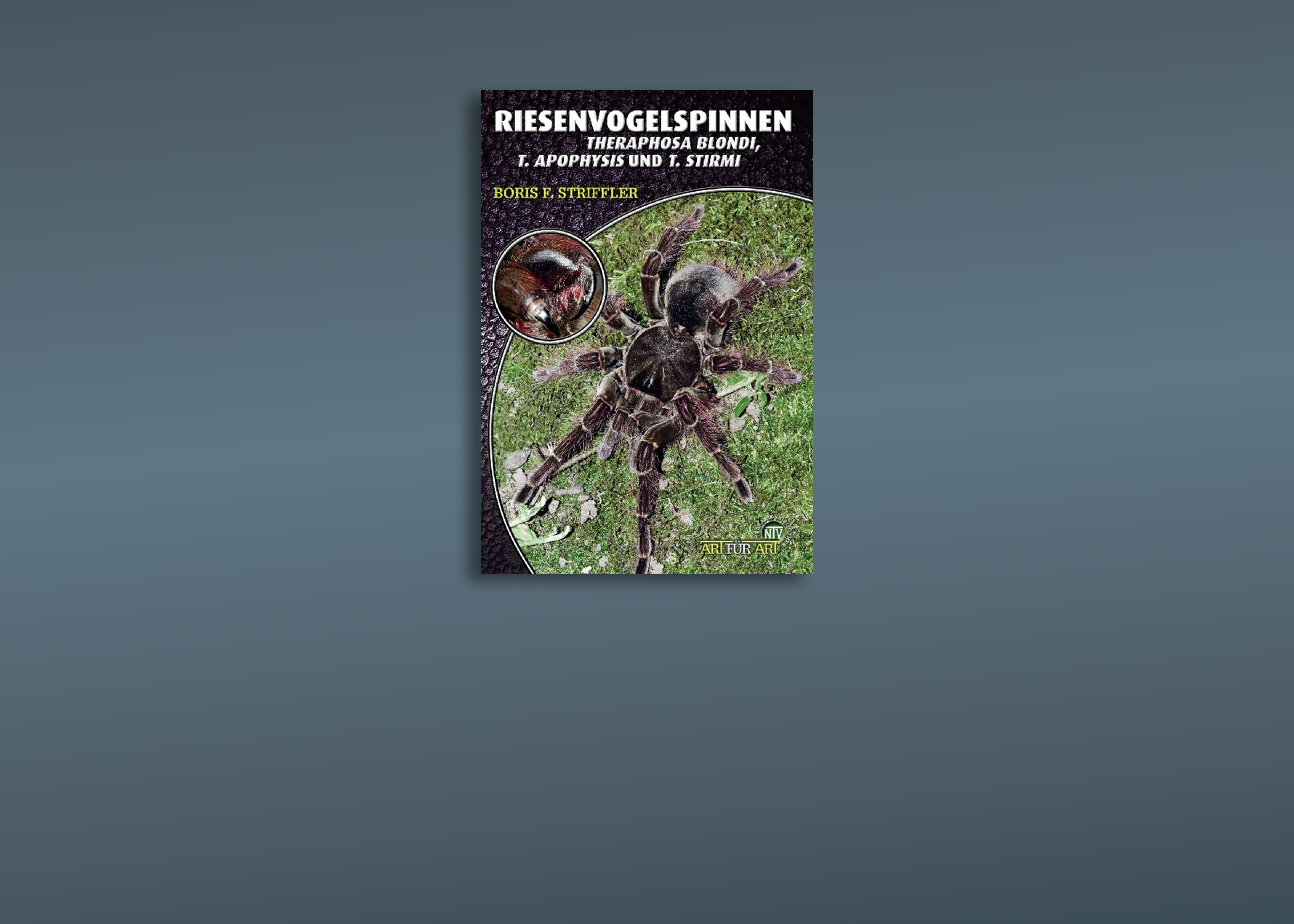 Vogelspinnen