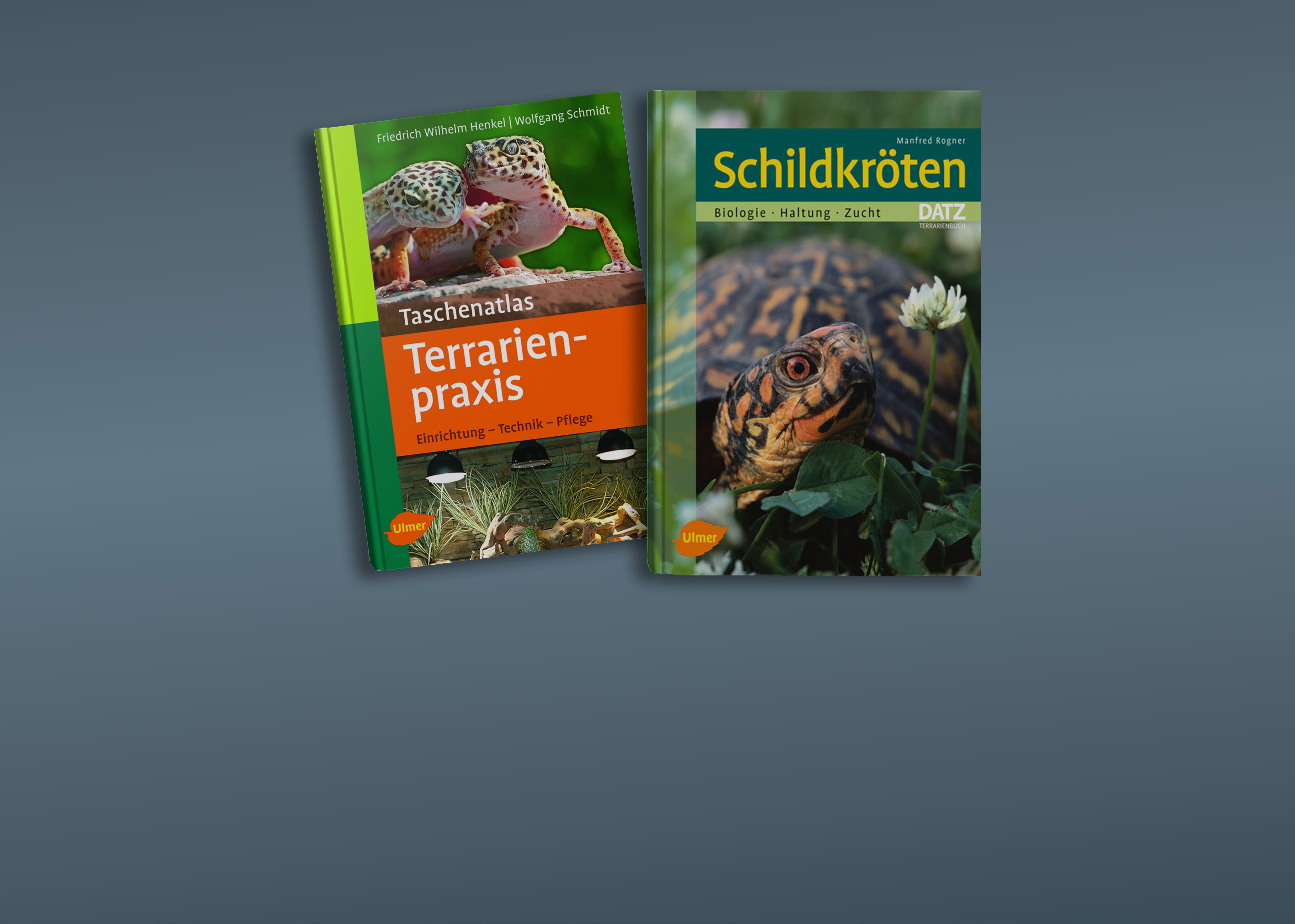 Bücher