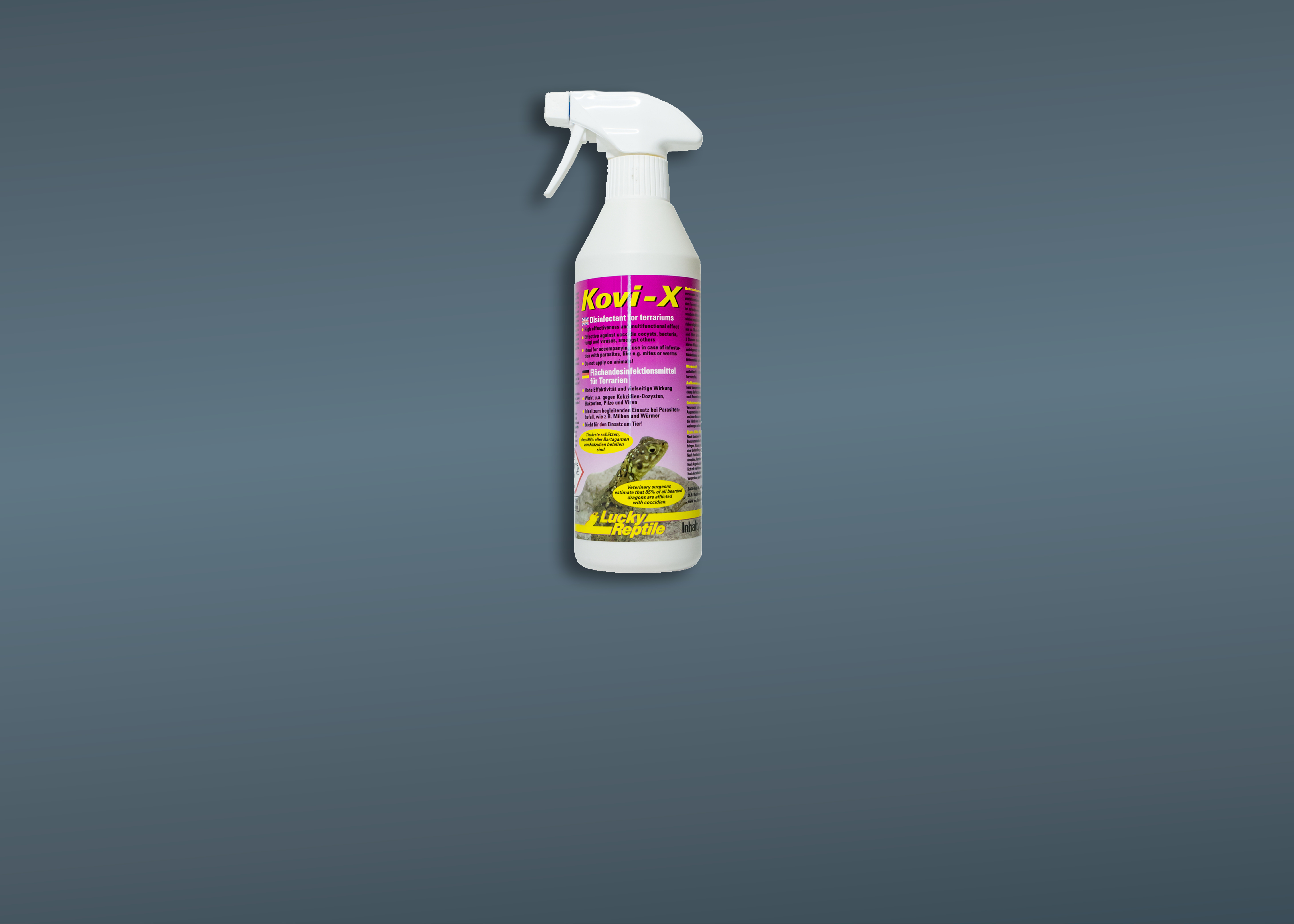 Reinigung & Hygiene