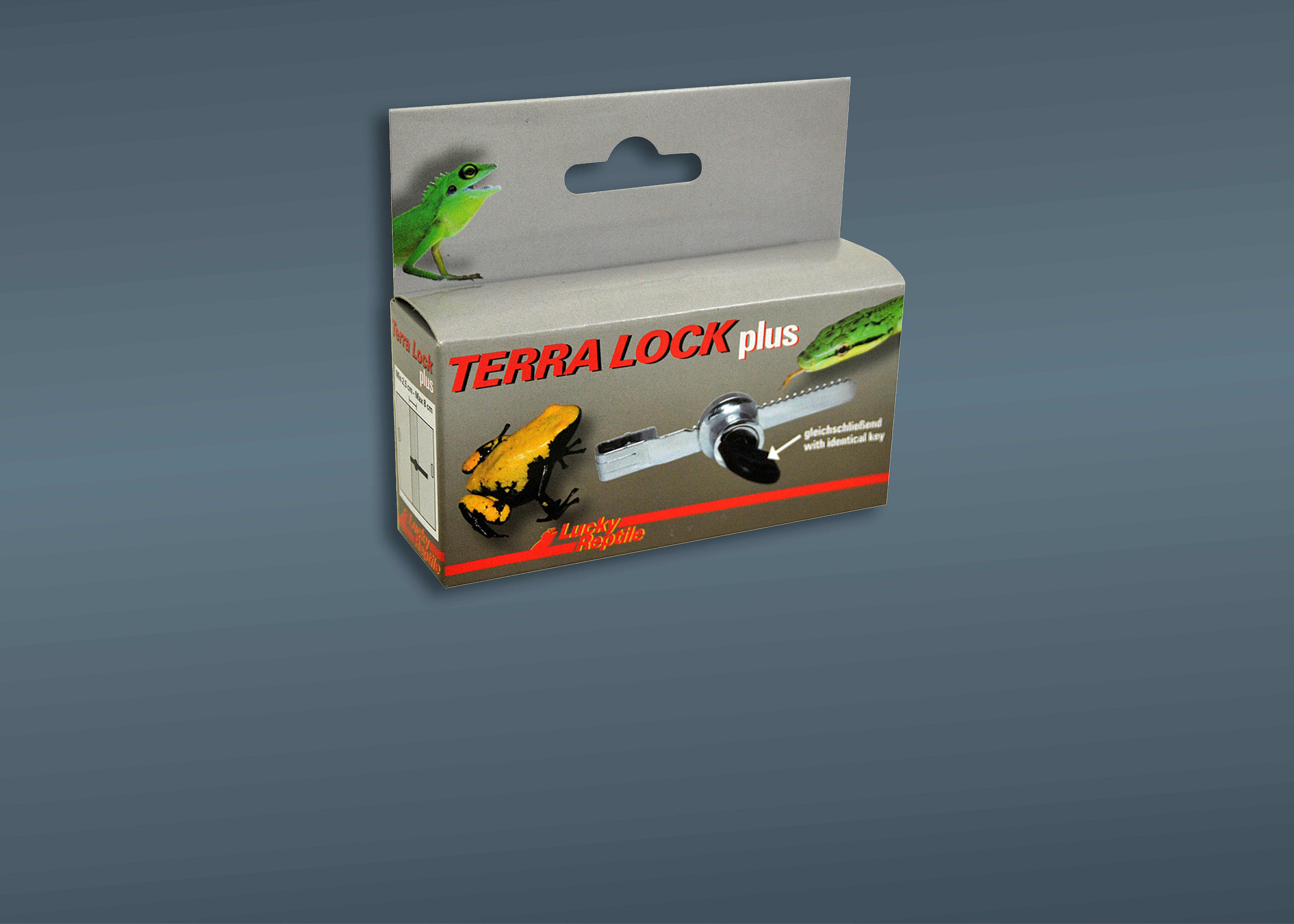 Terrarienbau