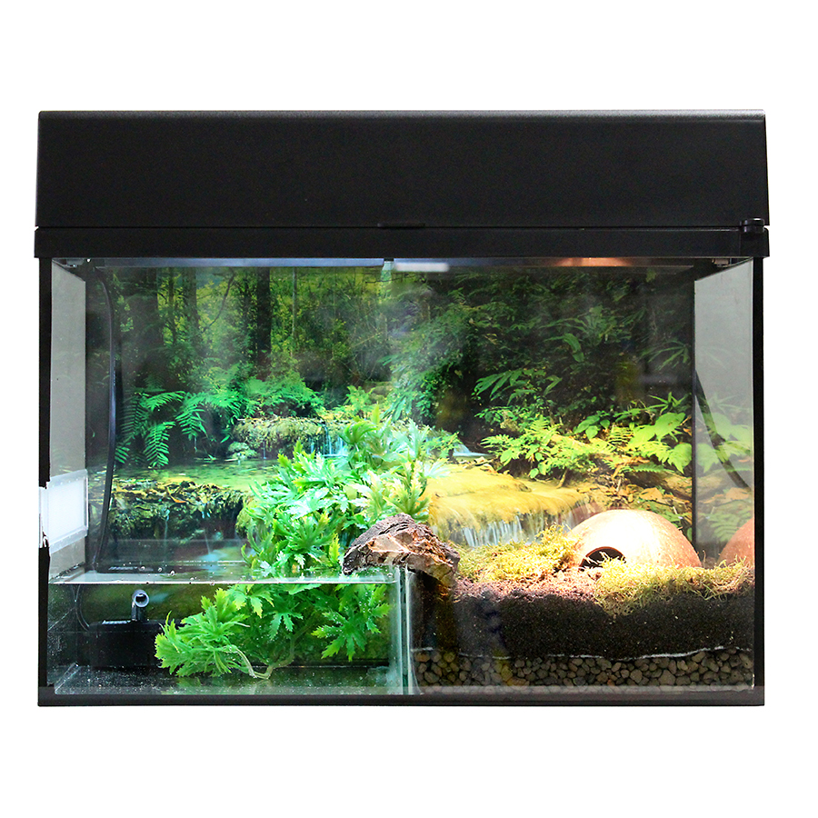 Lucky Reptile Starter Kit Bombina/Pacman Terraristik Terrarium