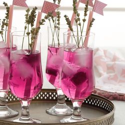 NS-LV-NEV576F-AMAZON-5.jpg NS-LV-NEV576F-AMAZON-5.jpg