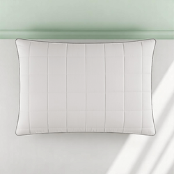 0004629-dogal-lifli-nefes-alabilen-terleme-onleyen-bamboo-visco-fermuarli-yikanabilir-kilifli-yastik.png 0004629-dogal-lifli-nefes-alabilen-terleme-onleyen-bamboo-visco-fermuarli-yikanabilir-kilifli-yastik.png