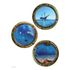 Wall sticker wall tattoo wall decoration - porthole ship fish  1