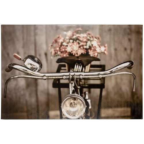 Picture art print 60x90 cm bicycle sepia vintage brown rose