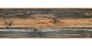 Artikelbild Tapetenborte Borte Holz Maserung graubraun selbstklebend 9060-14 1