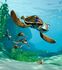 XL Photo wallpaper Disney Find Nemo fishes kids wallpaper paper non woven Des-113 1