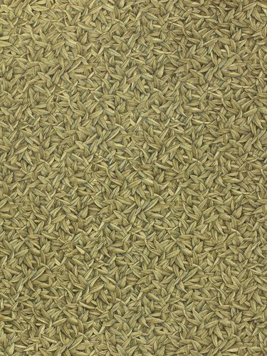 Wallpaper Sample 52504