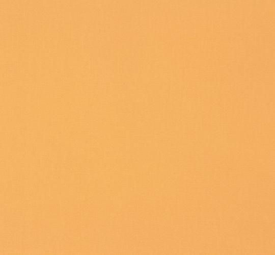 Wallpaper Sample 57214