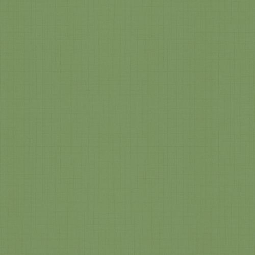 Article picture Wallpaper Tango Dieter Langer linen texture green 58863