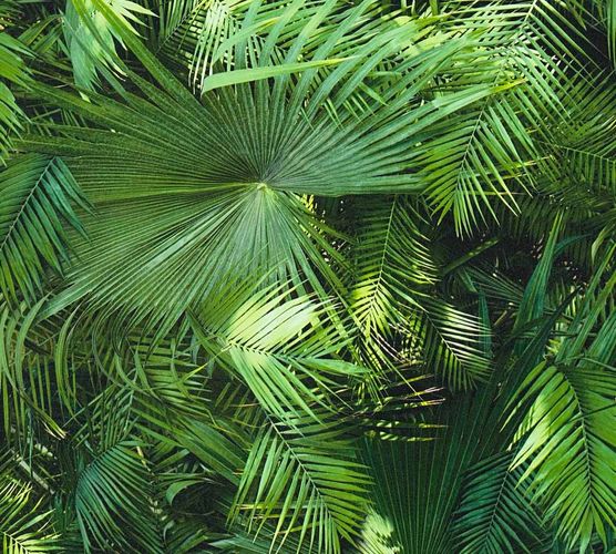 Wallpaper palm leaf green Neue Bude 2.0 36200-1