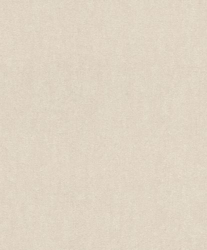 Picture Wallpaper Rasch mottled texture beige cream 402339