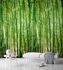 Picture Digital Print Non-Woven Photo Wallpaper bamboo floral | A36901 1