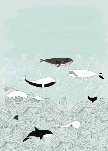 mural wallpaper Rasch Bambino whales turquoise 842500