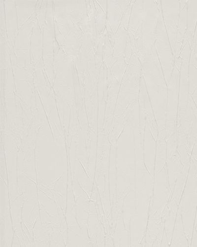 Article picture Non-Woven Wallpaper Paper Structure white Metallic 63220