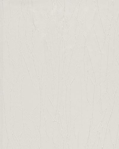 Tapeten Musterartikel 63220