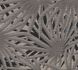 Non-Woven Wallpaper Palm grey black Glitter 37861-2 1