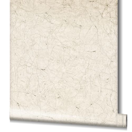 Tapete Vlies Risse Putz-Optik beige grau 32802