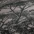 Wallpaper Non-Woven Nature Trees grey black 38023-3 3